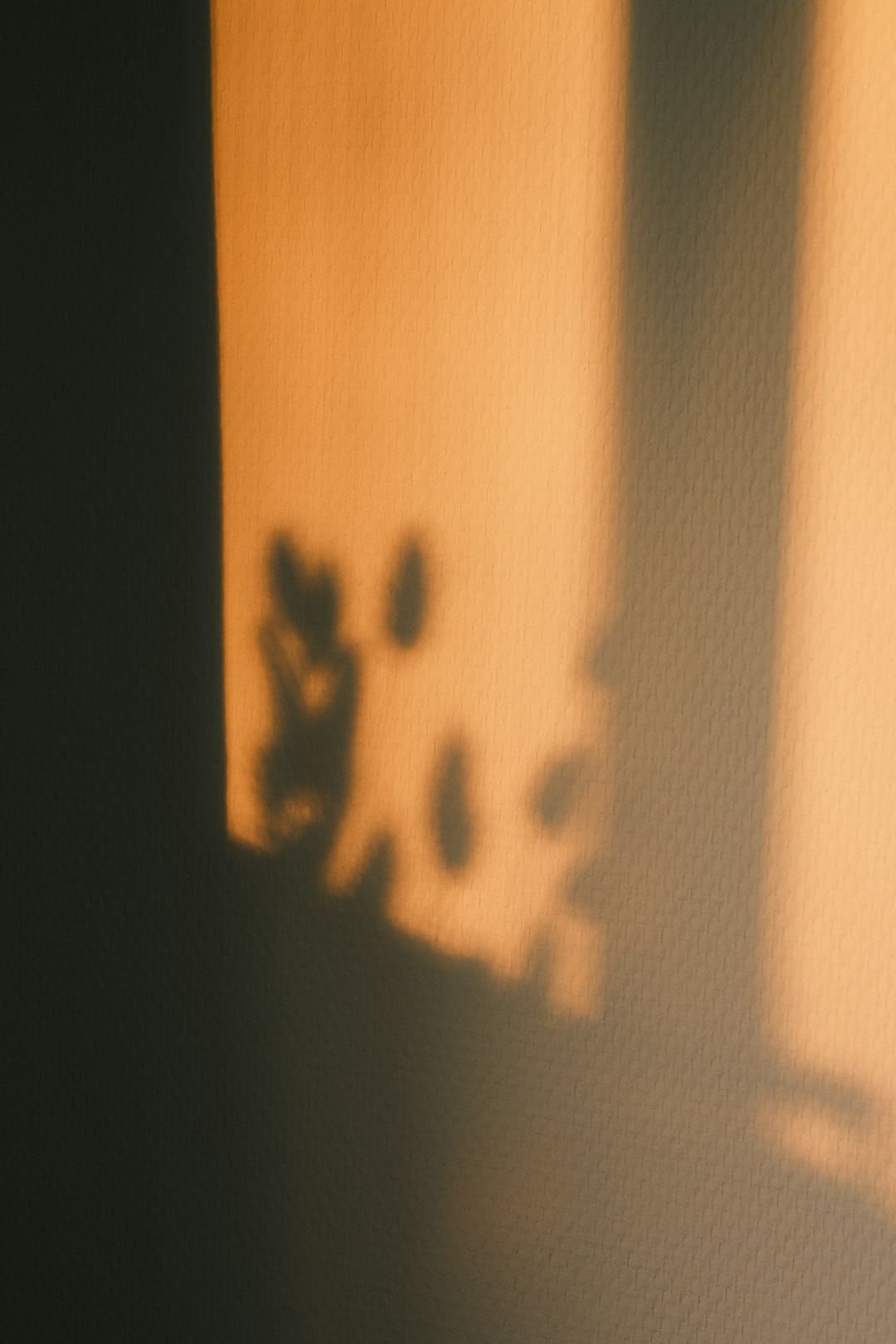 https://picture01.52hrttpic.com/image/infoImage/202507/14/gd57e37ccc1c94bb58f0b031a521696a3.png?660x440